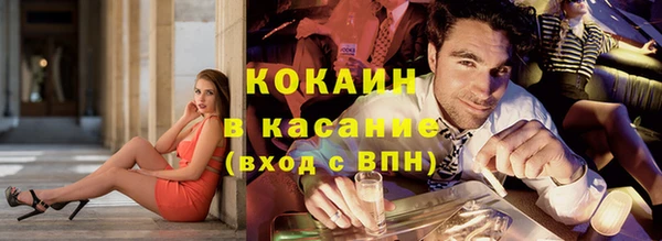 ECSTASY Алзамай