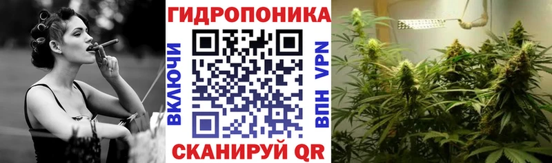Бошки марихуана планчик  Всеволожск 